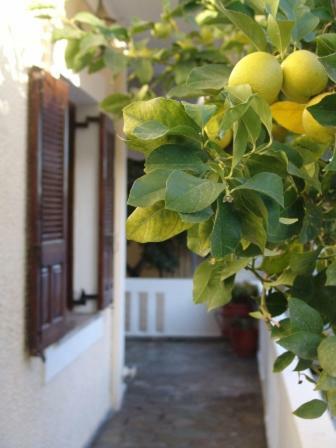 Artistica Villa Ermioni Dış mekan fotoğraf